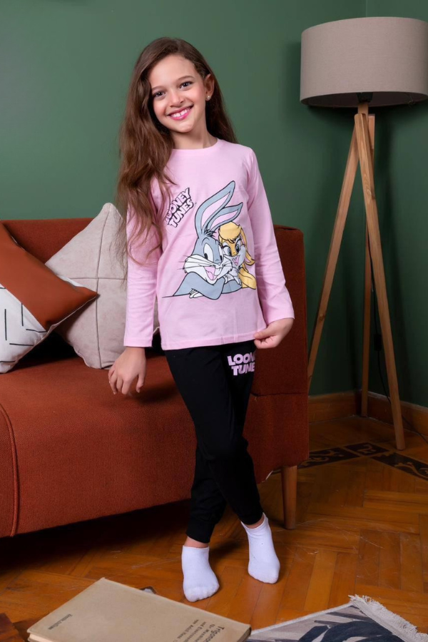 Pink looney tunes