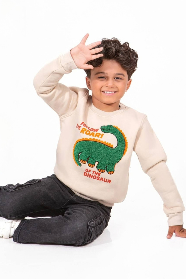 Dino   sweatshirt