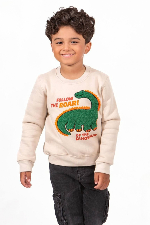 Dino   sweatshirt