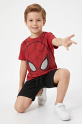 Spider boy
