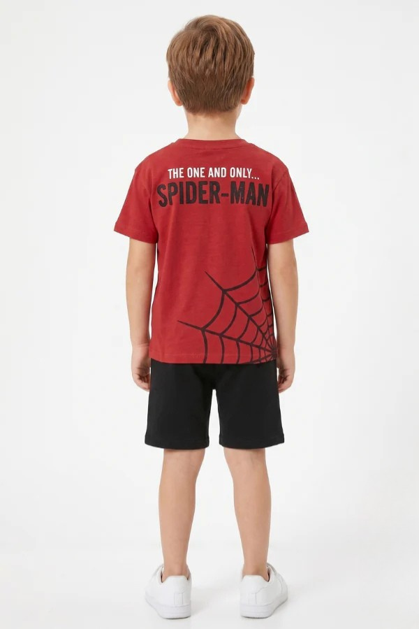Spider boy