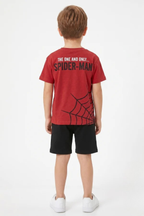 Spider boy