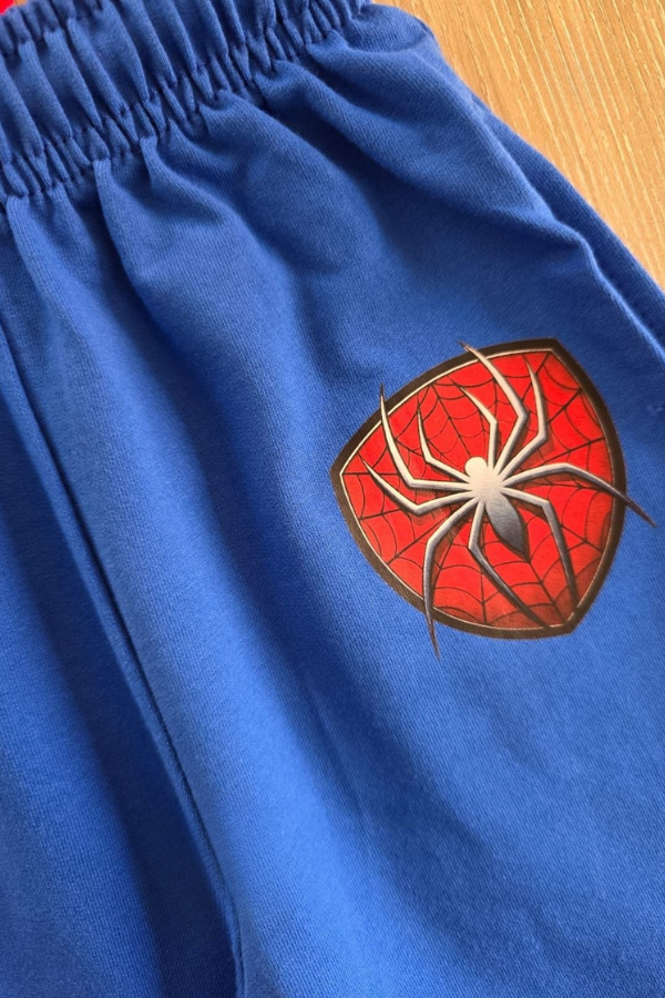 spider