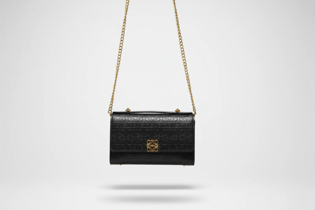 Loewe cross bag